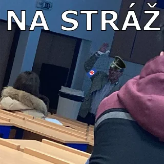 Sticker CHAD FVT - 11