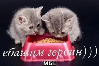 Sticker @sticksbb <— больше стиков💓💘💞 - 2