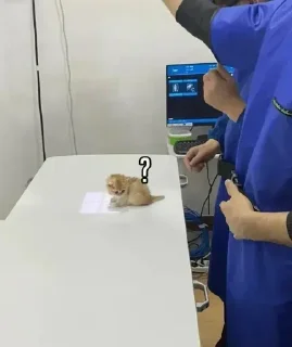 Sticker @sticksbb <— больше стиков💓💘💞 - 9