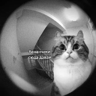 Sticker @sticksbb <— больше стиков💓💘💞 - 11