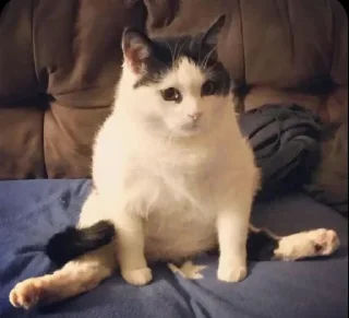 Sticker @sticksbb <— больше стиков💓💘💞 - 4