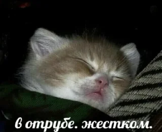 Sticker @sticksbb <— больше стиков💓💘💞 - 10