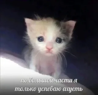 Sticker @sticksbb <— больше стиков💓💘💞 - 7