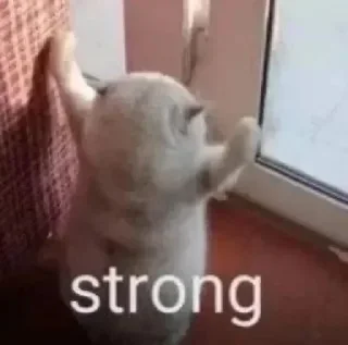 Sticker @sticksbb <— больше стиков💓💘💞 - 1