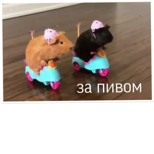 игрушка детские игрушки мультфильм