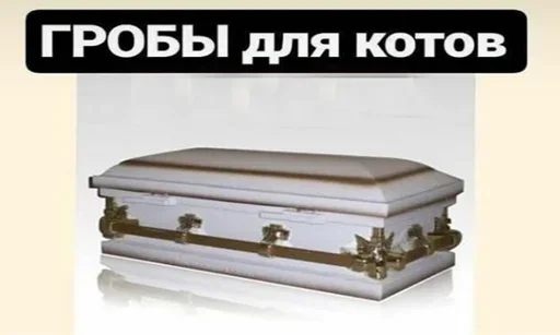 Стикер fav stickers by meow 2 by @fStikBot - 7