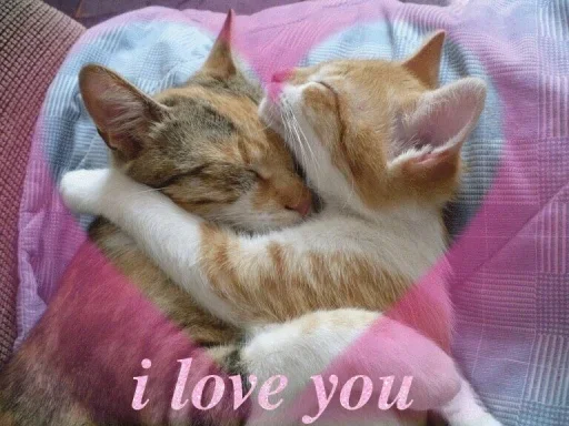 Стикер fav stickers by meow 2 by @fStikBot - 0