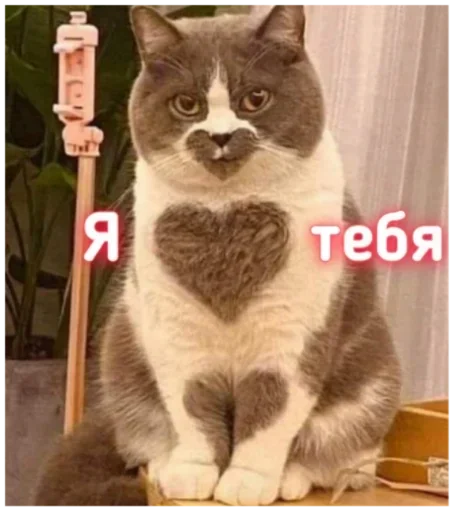 Sticker Фавирос by @fStikBot - 8