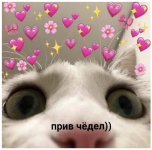 Sticker Фавирос by @fStikBot - 2