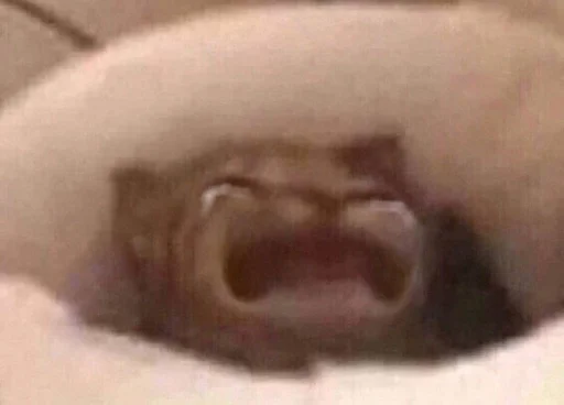 туалет Человек комнатный