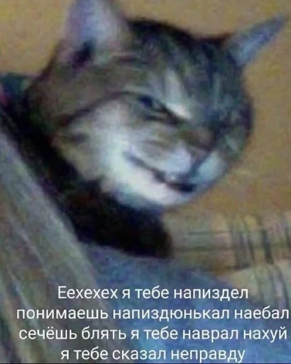 СМС млекопитающее животное