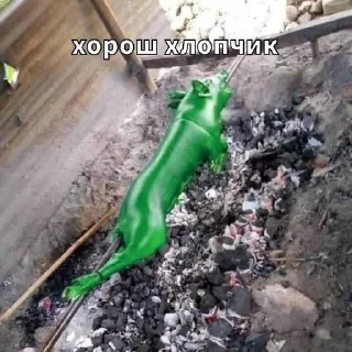 ground green bottle