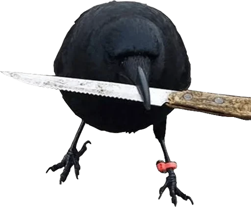 инструмент лезвие птица