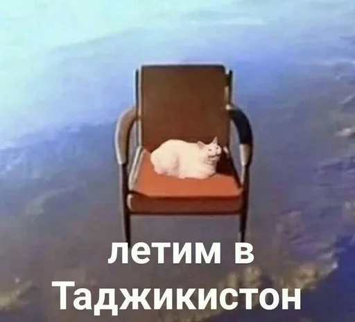 СМС стул мебель