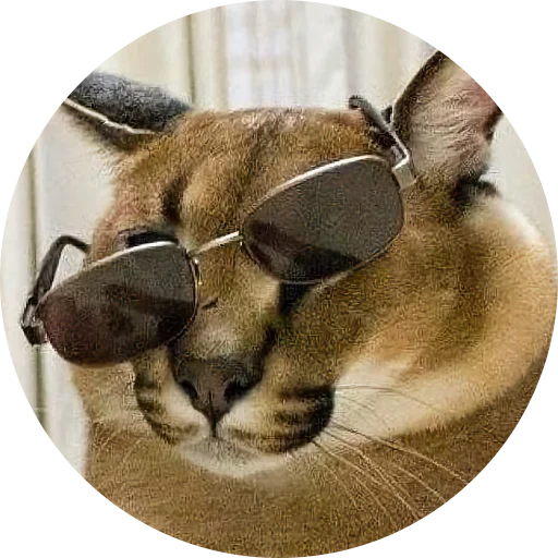 Fake Circle | @Cybrdochka - 