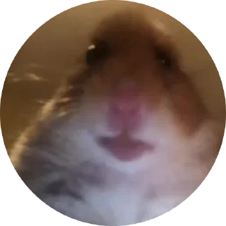 Sticker Fake Circle | @Cybrdochka - 1