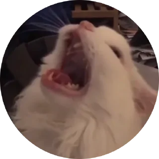 Sticker Fake Circle | @Cybrdochka - 8