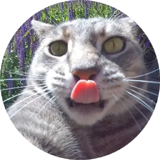 Sticker Fake Circle | @Cybrdochka - 7