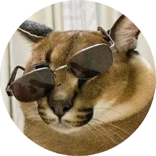 Sticker Fake Circle | @Cybrdochka - 11