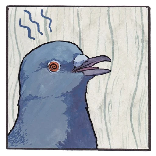 Sticker False Knees - 11