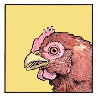 Sticker False Knees - 6