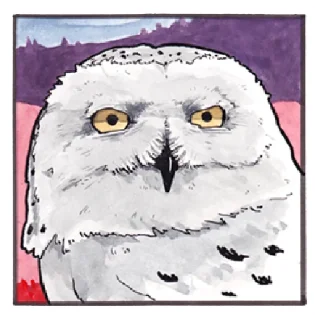 Sticker False Knees - 7