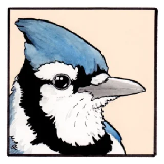 Sticker False Knees - 8