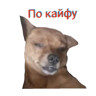 Стикер Family - 8