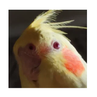 Стикер Family - 1