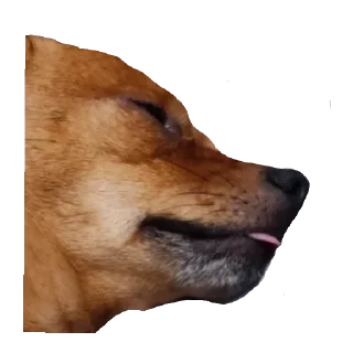 Стикер Family - 5