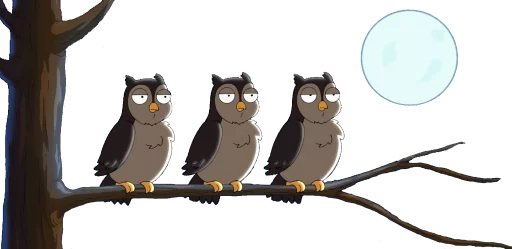 кошка животное на открытом воздухе