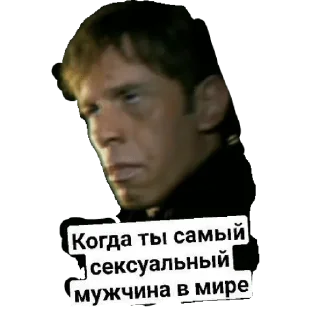 Sticker Family Wizard - 9