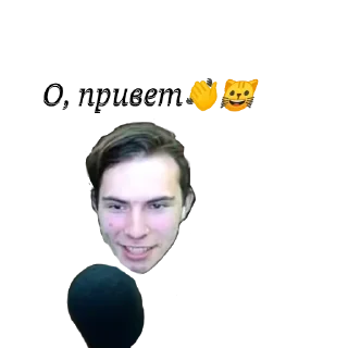 Sticker Fanzy Show Pack✨ - 8