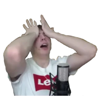 Sticker Fanzy Show Pack✨ - 4