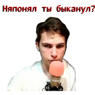 Sticker Fanzy Show Pack✨ - 0