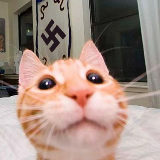 Стикер FascistGang - 1