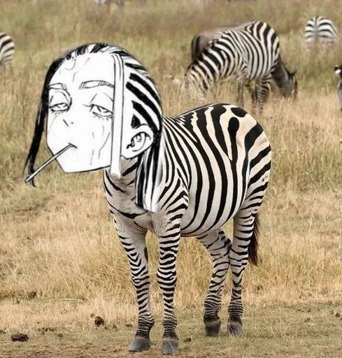 Стикер FashSeanRupee_by_fStikBot - 1