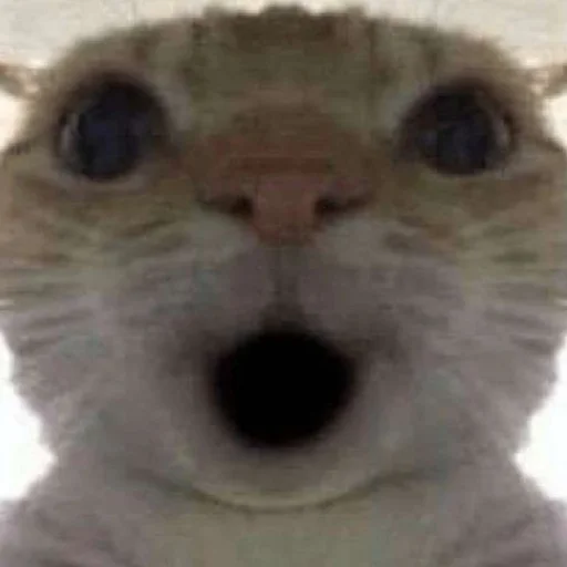 Sticker Fashionista_v2 - 1