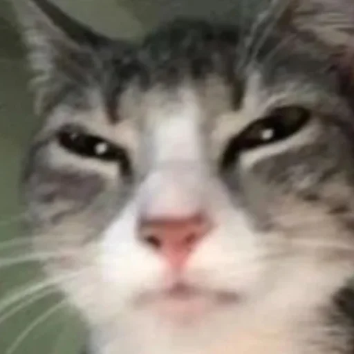 Sticker Fashionista_v2 - 1