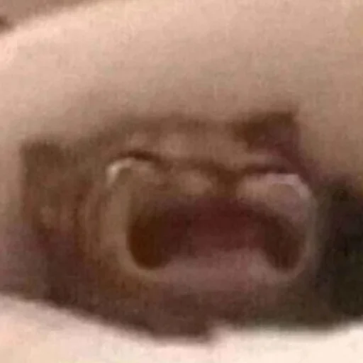 Sticker Fashionista_v2 - 1