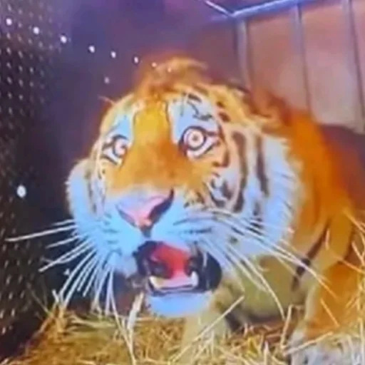 Sticker Fashionista_v2 - 1