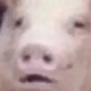 Sticker 變態｡⁠◕⁠‿⁠◕⁠｡ - 0