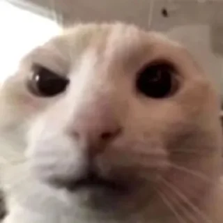 Sticker 變態｡⁠◕⁠‿⁠◕⁠｡ - 11