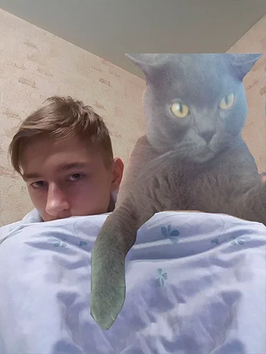 person animal mammal