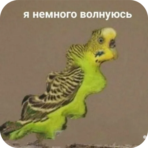 Sticker FatimaDura1 - 1