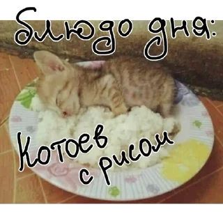 Sticker Фаумины стикеры - 3