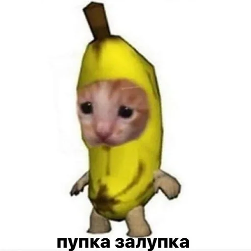 млекопитающее животное