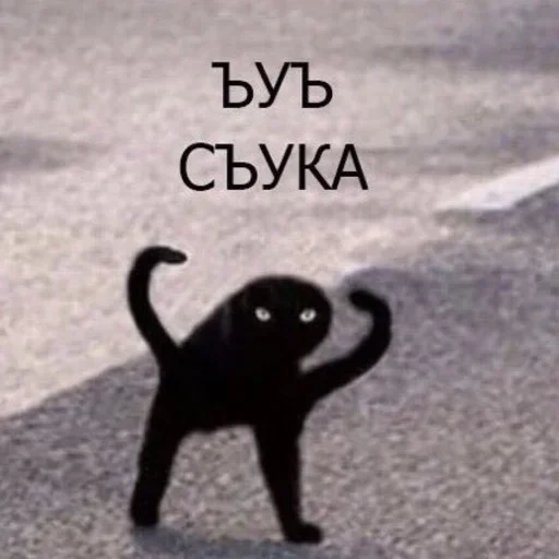 Sticker Favourite Stickers (@FavouriteStickersBot) - 7