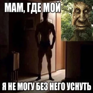 Стикер Дуб🌳 - 8