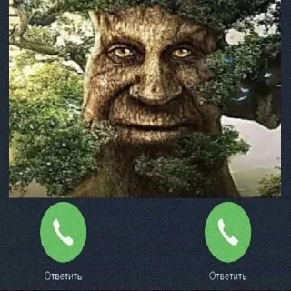 Стикер Дуб🌳 - 2